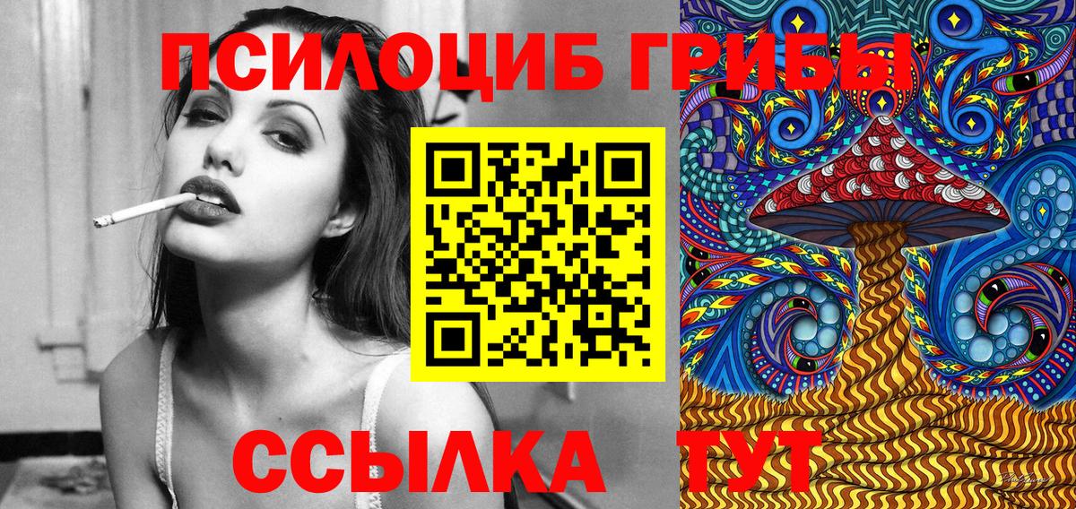 закладки  Вход с VPN  Родники  Псилоцибиновые грибы MAGIC MUSHROOMS 