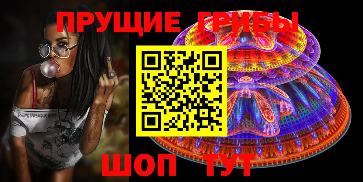 Псилоцибиновые грибы Psilocybine cubensis Родники